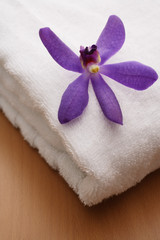 Purple orchid on white towel.