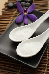 Close up of salt in spoons for spa.