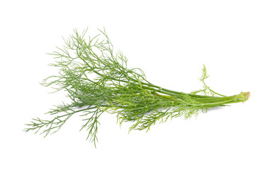 fresh dill on white background.
