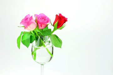 Valentinstag Motiv - Rosen im Weinglas vor weißem Hintergrund mit Textfreiraum