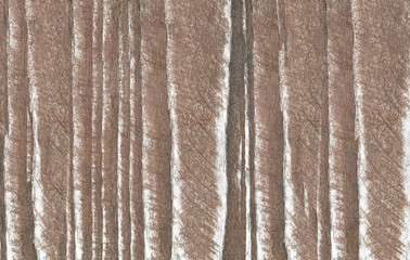 Wood texture. Lining boards wall. Wooden background pattern. Showing growth rings. Brown color