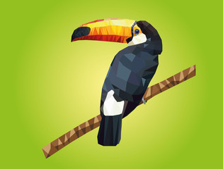 Tropical toucan bird. Polygon illustration. Vector © Александр Голубев