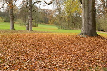 Herbst im Schlo&szlig;park
