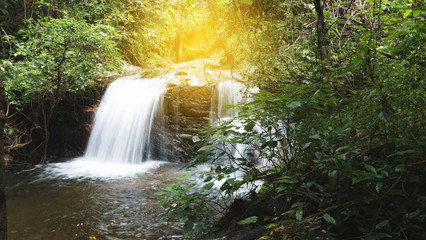 Fototapeta premium waterfall and creek in forest