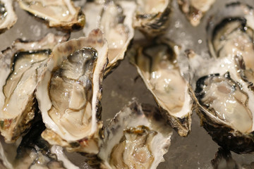 fresh oyster, seafood on ice