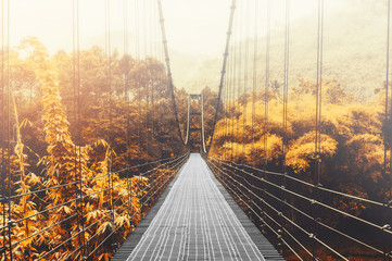 Obraz premium Beautiful autumn forest and sunlight, with steel suspension bridge at foggy day in the morning, vintage tone