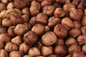 Hazelnut background. Pile of selected hazel close-up. For vegetarians.