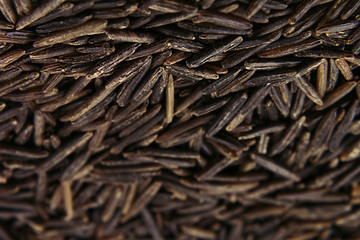 Black rice close-up background. Heap wild brown unpolished rice for vegetarians.