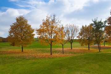 City park with autumn colors