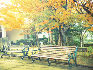 Vintage filter of wooden bench in the park in autumn season, Nagasaki, Japan