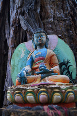 Bunter Buddha sitzt vor einem alten Baum.