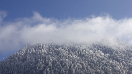 Paysage en hiver à la montagne, campagne, avec la neige blanche qui recouvre la nature et des arbres sauf les sapins. Soleil qui perce entre les nuages au-dessus des vallées enneigées des Alpes.
