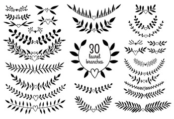 Vecto nature branches collection