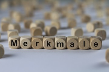 Merkmale - Holzwürfel mit Buchstaben