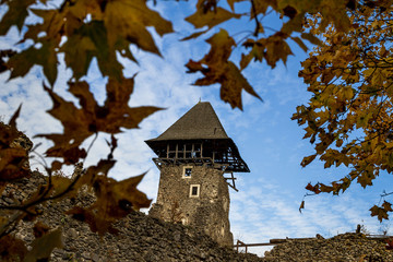 Ruins of the Nevitsky castle