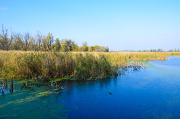 Beautiful lake and blue sky on autumn