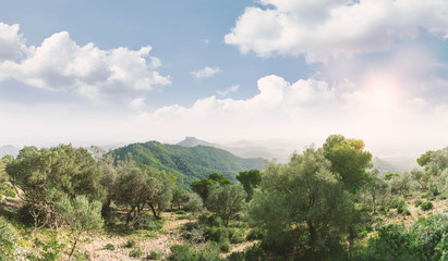 Fototapeta na wymiar Panorama vom landschaftlichen Mallorca
