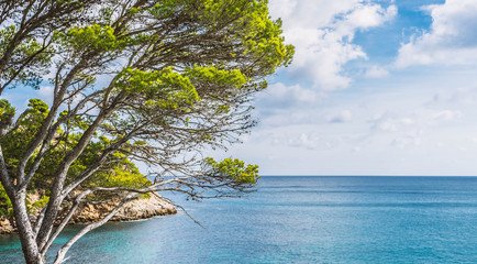 Idyllische Aussicht auf eine kleine Bucht in Mallorca