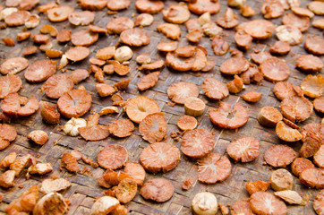 Areca nut, Areca nut palm, Areca palm, Betel nut palm,