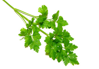  parsley