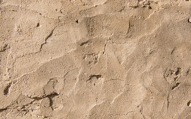 Brown grungy wall