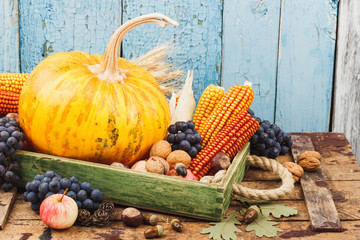Thanksgiving day: Tray of different autumn vegetables
