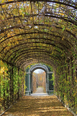 Obraz premium The plant corridor in park of Vienna