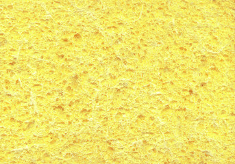 Sponge. Abstract texture