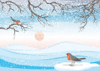 Vektor Illustration von Winter in den Bergen Neuschnee mit zwei Rotkehlchen   - 126509071