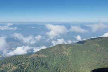 tropical forest and mountain landscape