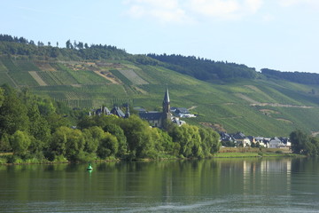 Weinort Lieser