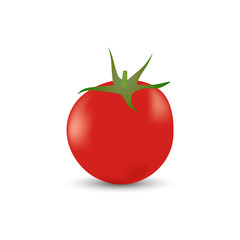 Realistic tomato vector illustration on white background