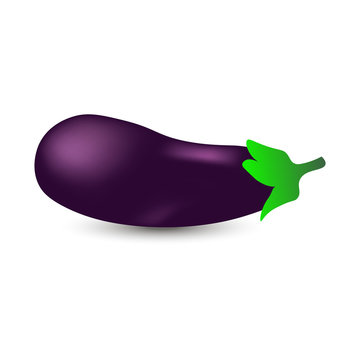 Realistic eggplant vector illustration on white background