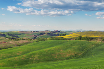 Fototapeta na wymiar Typical Tuscany landscape, green hills springtime
