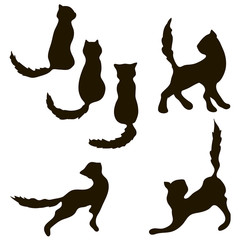 Cats collection - vector silhouette
