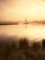 Obraz premium Grass on mountain lake bank, island in middle. Purple morning with peaceful water level