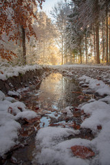 Sunrise in winterly forest