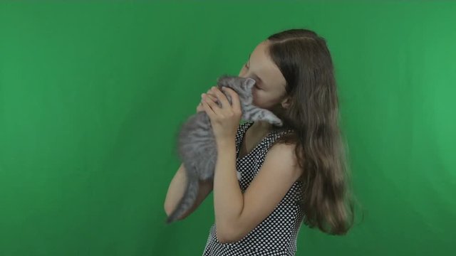 Beautiful girl communicates with kitten Scottish Fold on Green Screen stock footage video