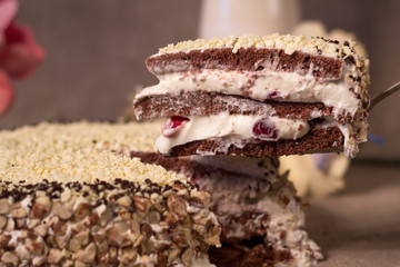 Walnut cake with cream, chopped, close-up