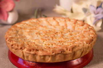 Cheesecake, shortcrust pastry, apricots with cream cheese on a plate
