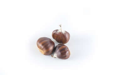 Chestnut (marrons) on white background