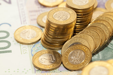 Polish Zloty, close-up