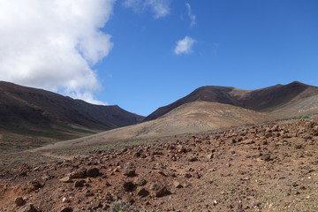 Natur pur auf Fuerteventura