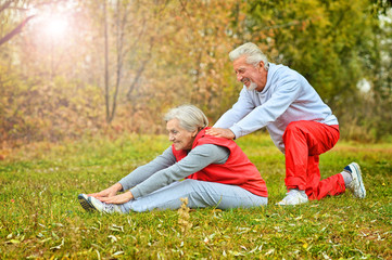 fit senior couple exercising