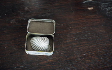 conch in the small box on the old brown wooden table