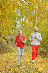 Fototapeta premium Happy fit senior couple exercising 