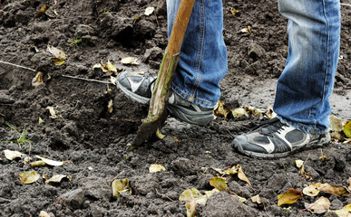 Man digging soil with garden shovel