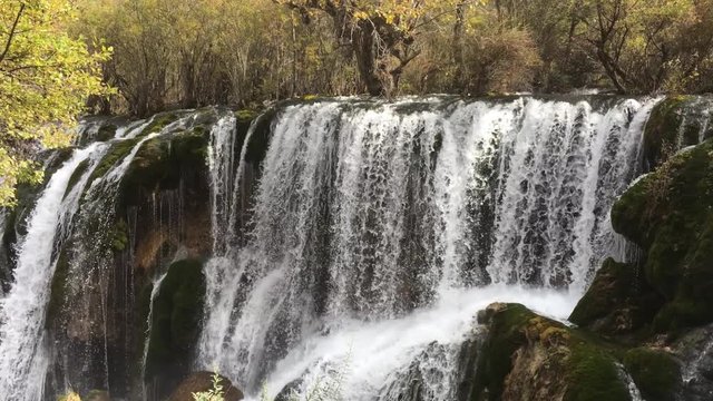 Pearl Shoal Waterfalls at Jiuzhaigou National Park  lake,  The UNESCO World Heritage in Sichuan , China in  Autumn  in November  located in  in  Tibetan-Qiang of Sichuan ,China