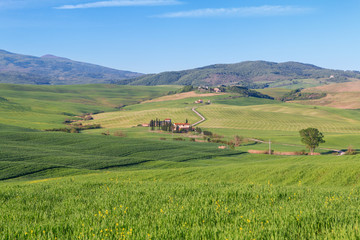 Fototapeta na wymiar Typical Tuscany landscape, green hills springtime