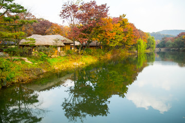 Fototapeta na wymiar Beautiful pond scenery in Korea